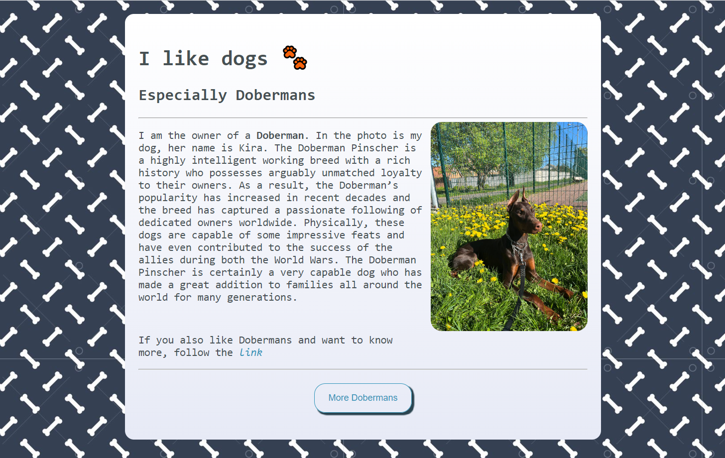 Dobermann project preview